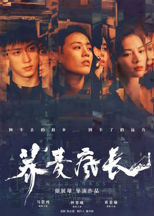 办假的台湾南华大学学位证